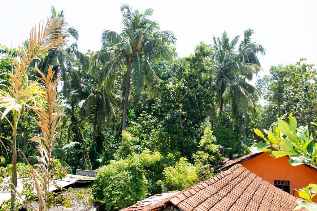 Garden Inn Mirissa Ngoại thất bức ảnh