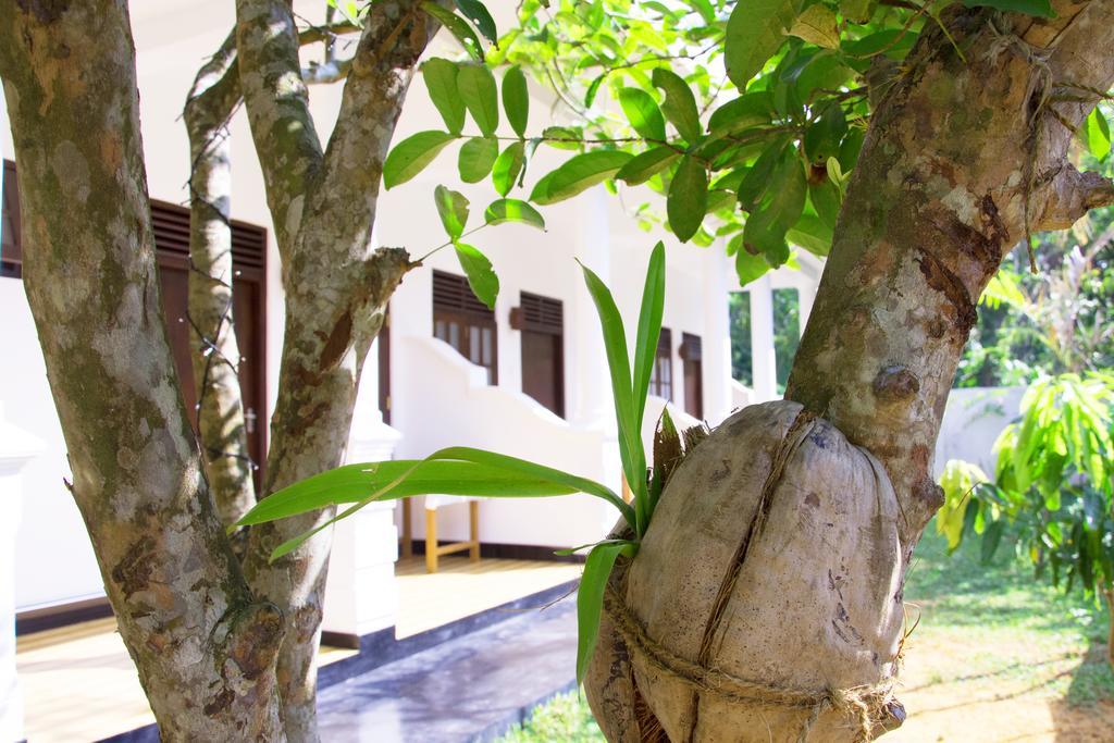 Garden Inn Mirissa Ngoại thất bức ảnh