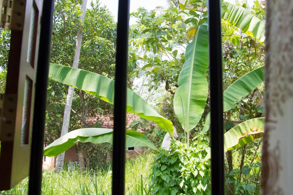 Garden Inn Mirissa Ngoại thất bức ảnh